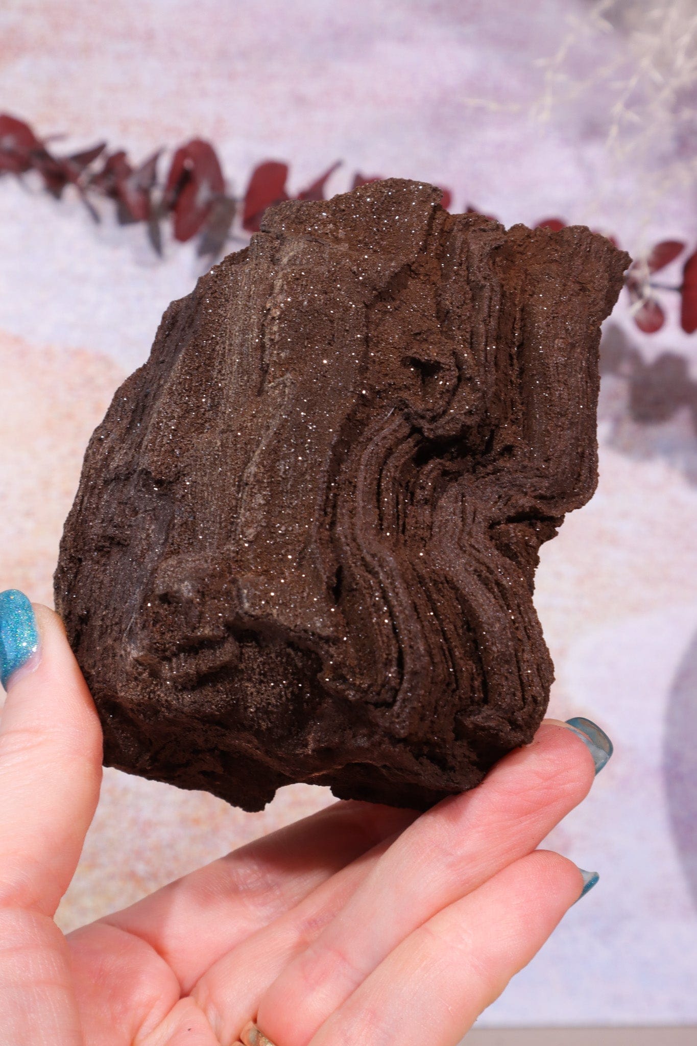 Permineralized wood, 10cm, Sold As Seen Fossil Tali & Loz Crystals