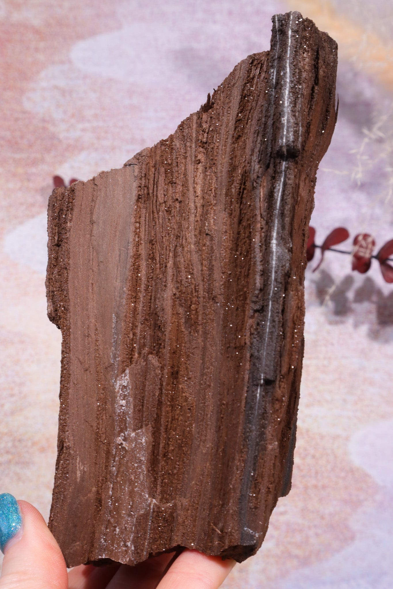 Permineralized wood, 14cm, Sold As Seen Fossil Tali & Loz Crystals