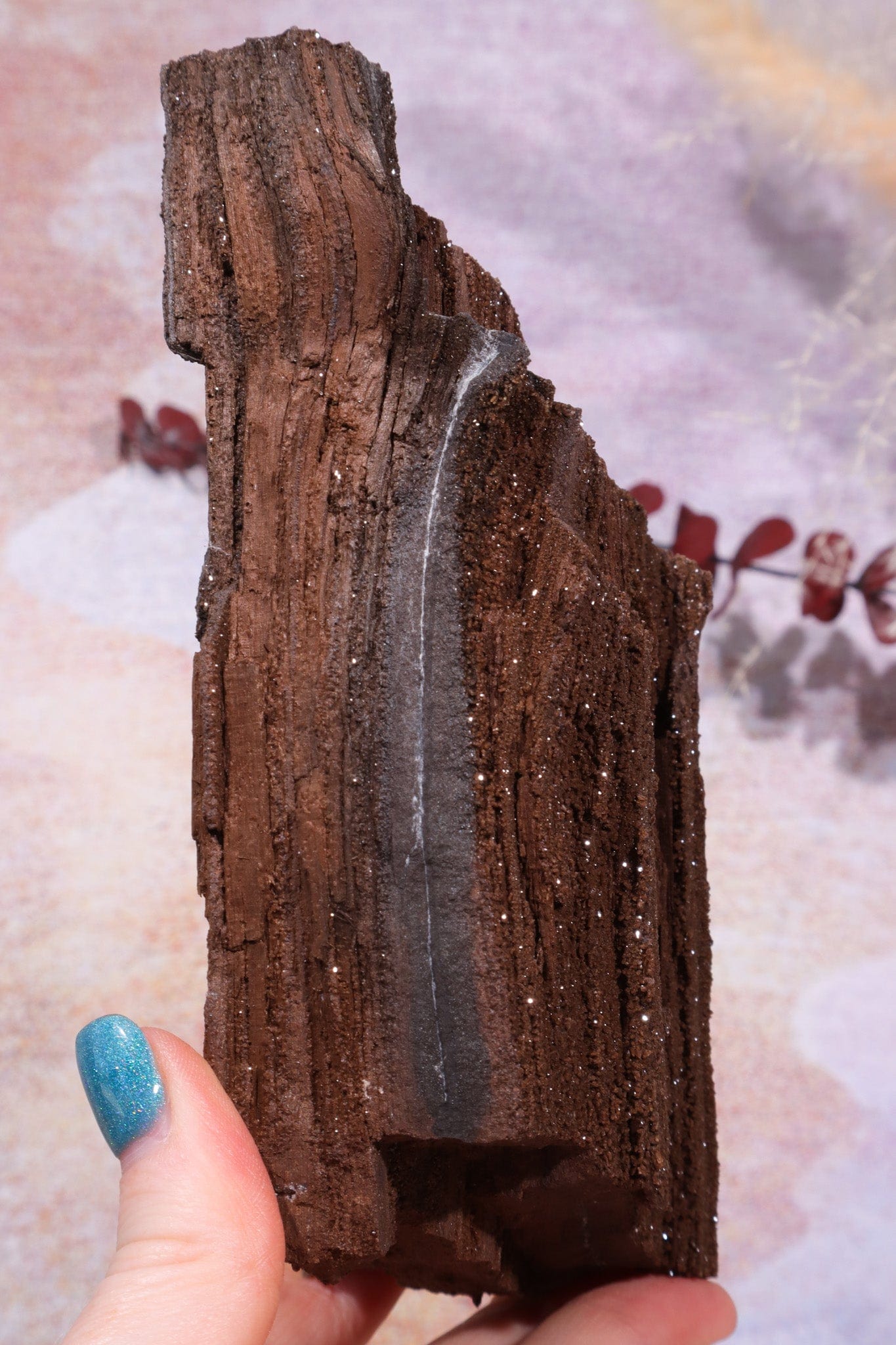 Permineralized wood, 14cm, Sold As Seen Fossil Tali & Loz Crystals