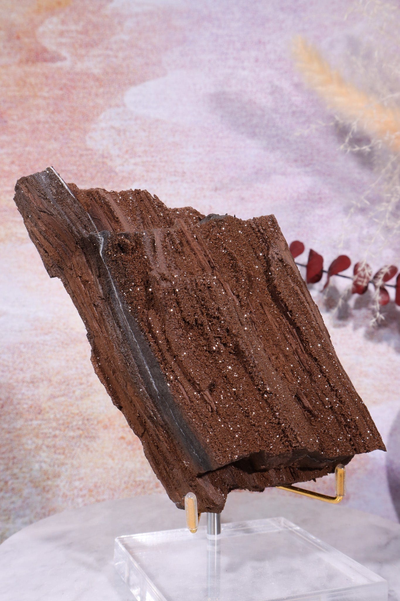 Permineralized wood, 14cm, Sold As Seen Fossil Tali & Loz Crystals