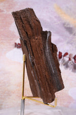 Permineralized wood, 14cm, Sold As Seen Fossil Tali & Loz Crystals