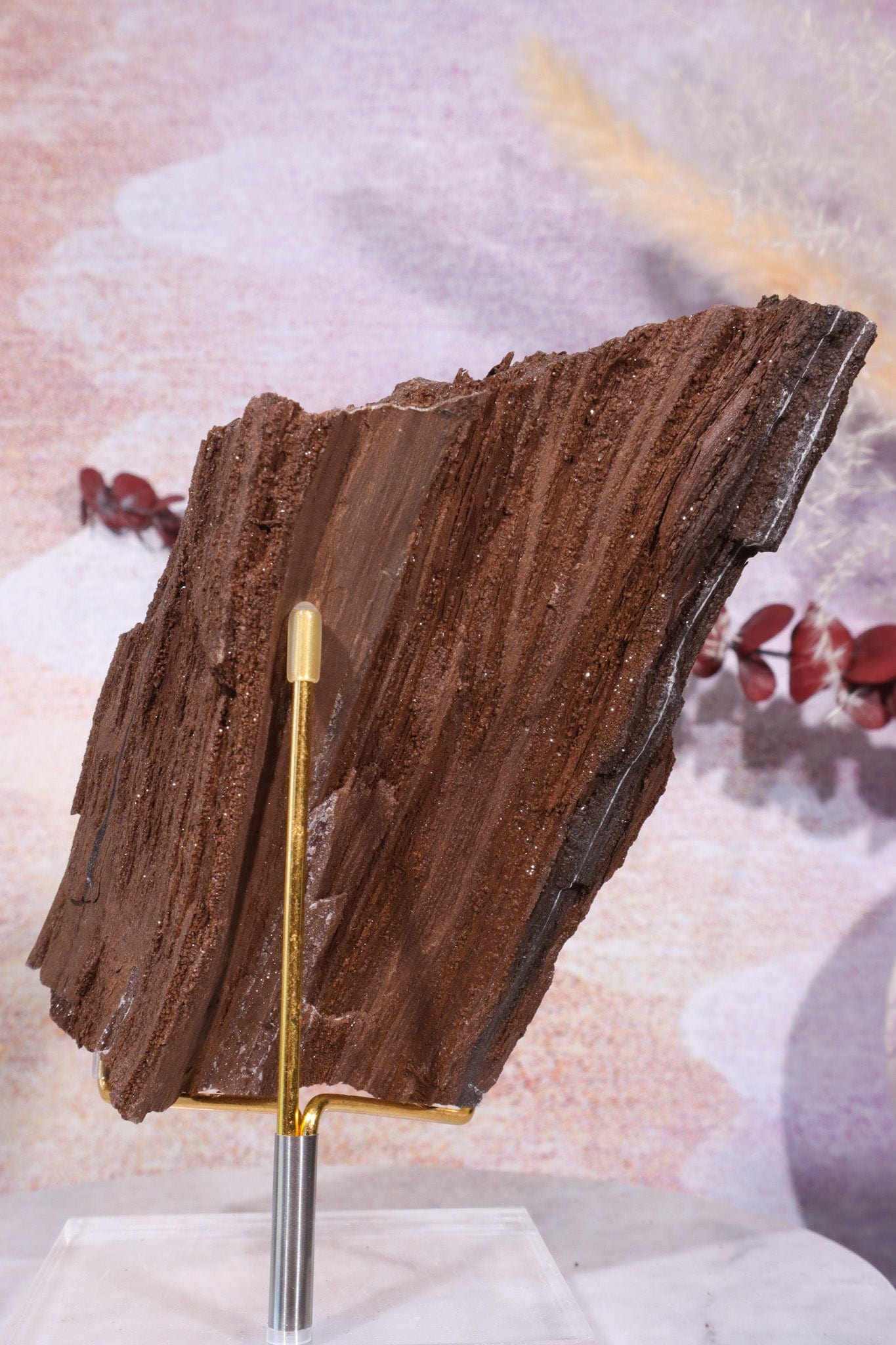 Permineralized wood, 14cm, Sold As Seen Fossil Tali & Loz Crystals