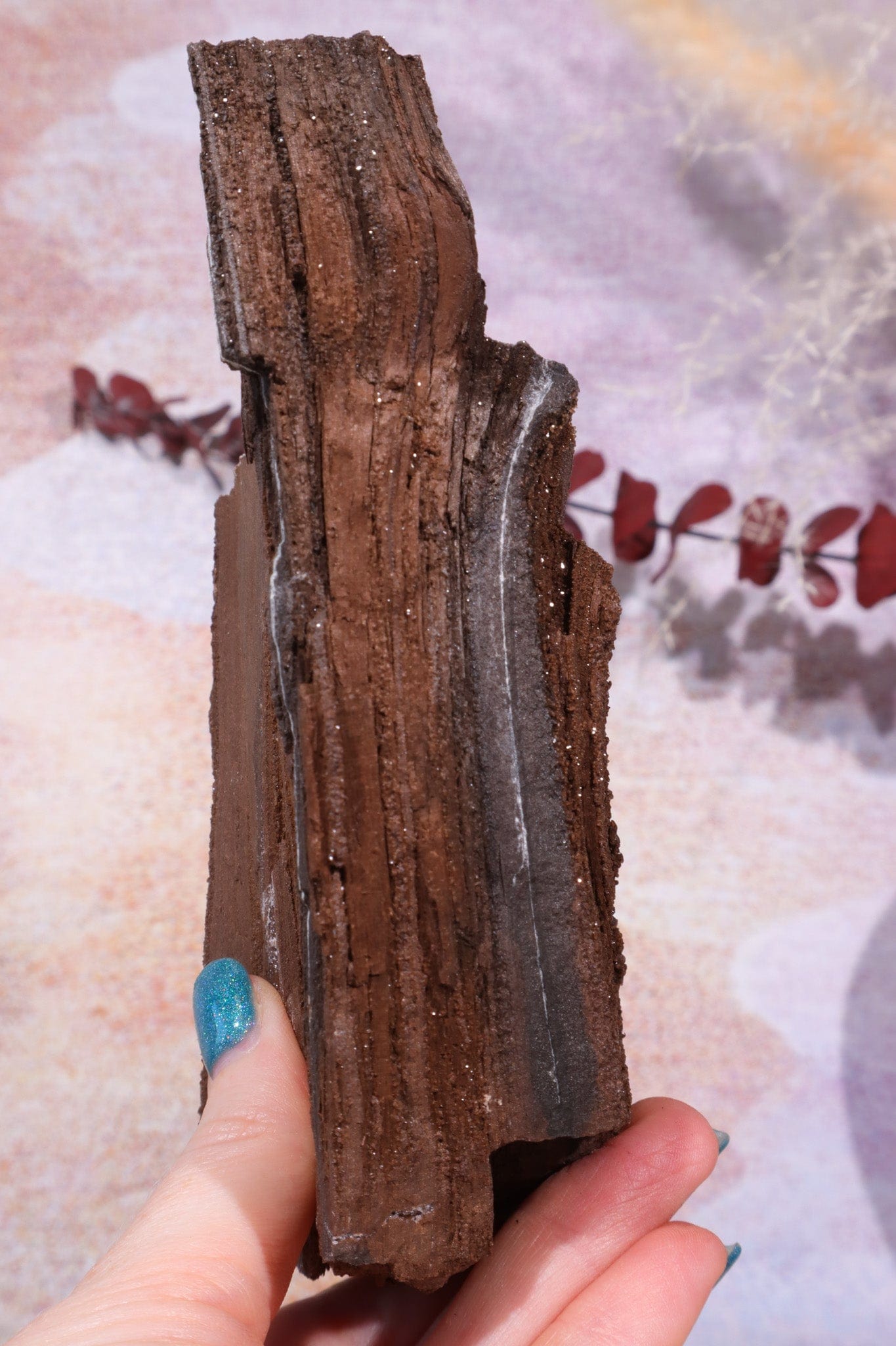 Permineralized wood, 14cm, Sold As Seen Fossil Tali & Loz Crystals