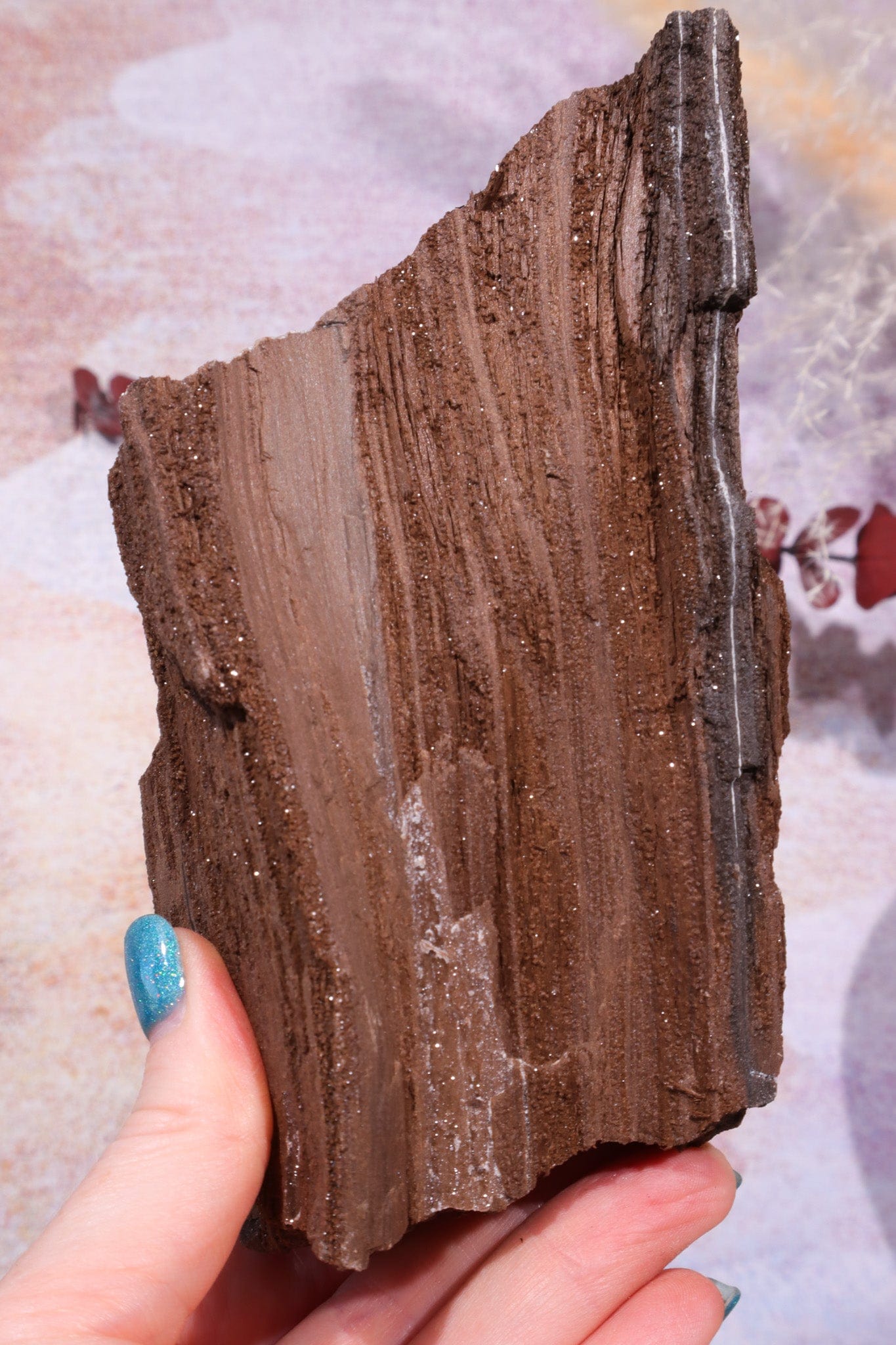Permineralized wood, 14cm, Sold As Seen Fossil Tali & Loz Crystals
