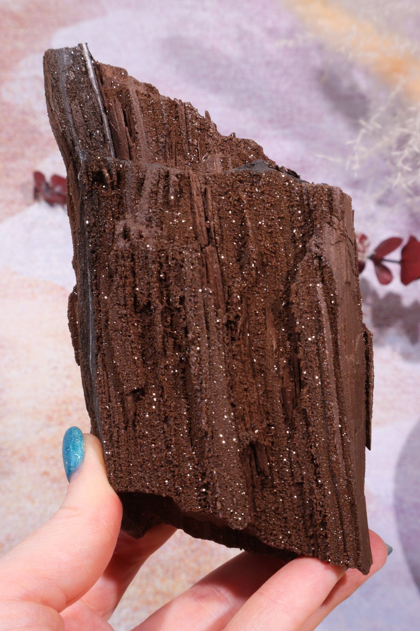 Permineralized wood, 14cm, Sold As Seen Fossil Tali & Loz Crystals