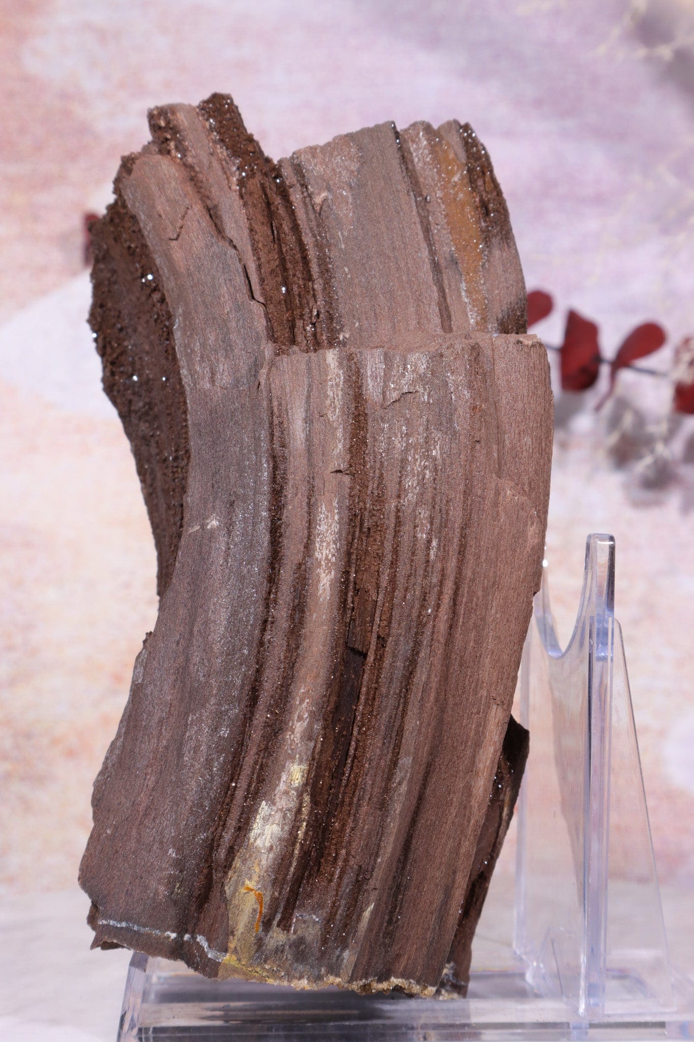 Permineralized wood, 15cm, Sold As Seen Fossil Tali & Loz Crystals