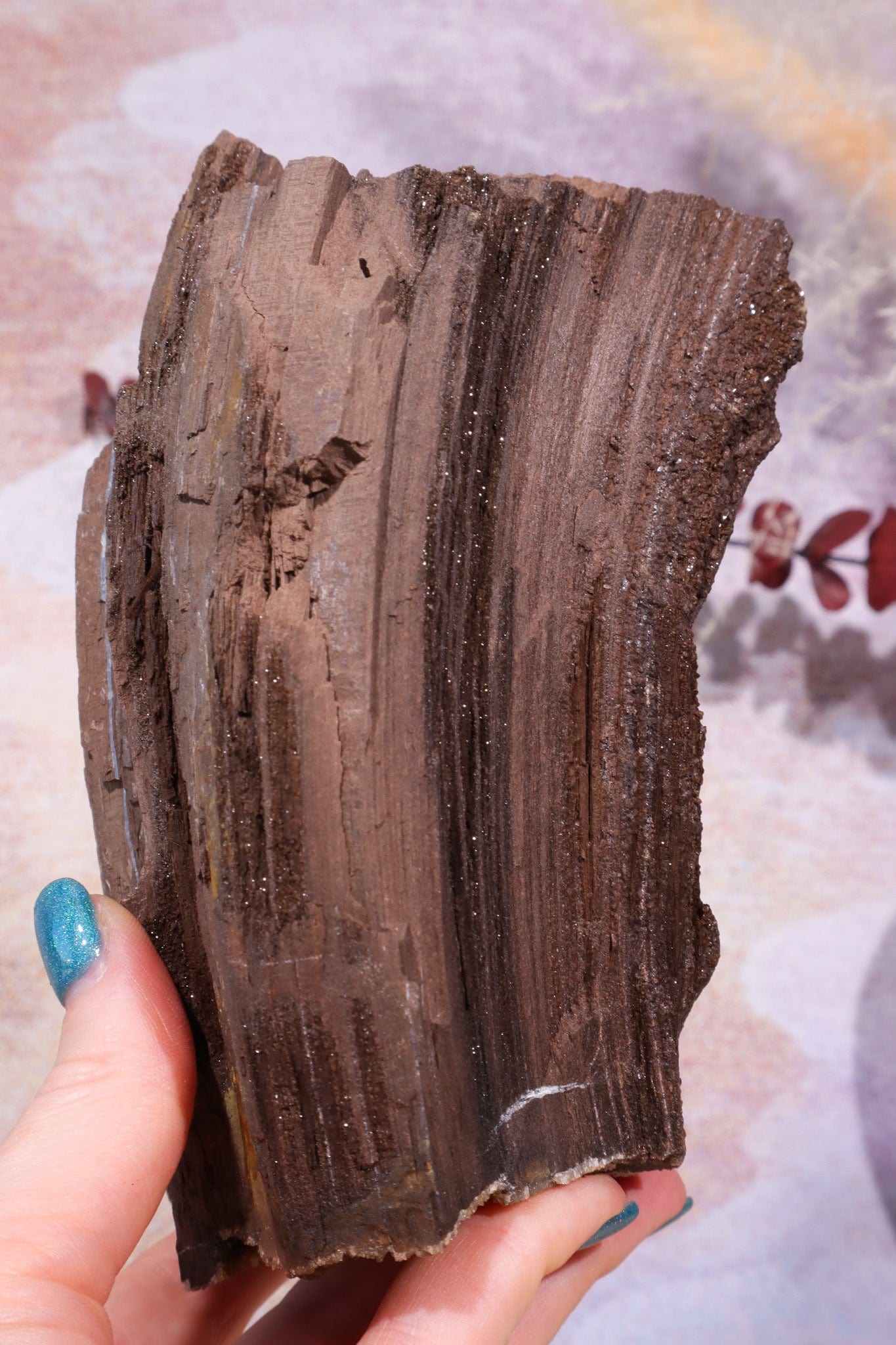 Permineralized wood, 15cm, Sold As Seen Fossil Tali & Loz Crystals