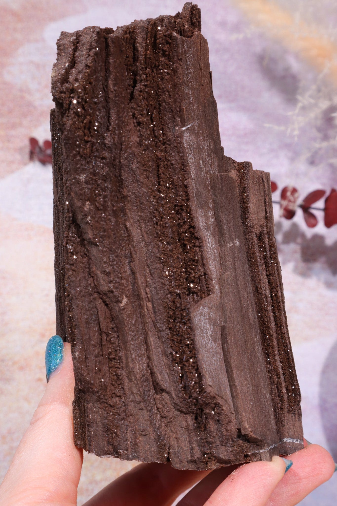 Permineralized wood, 15cm, Sold As Seen Fossil Tali & Loz Crystals
