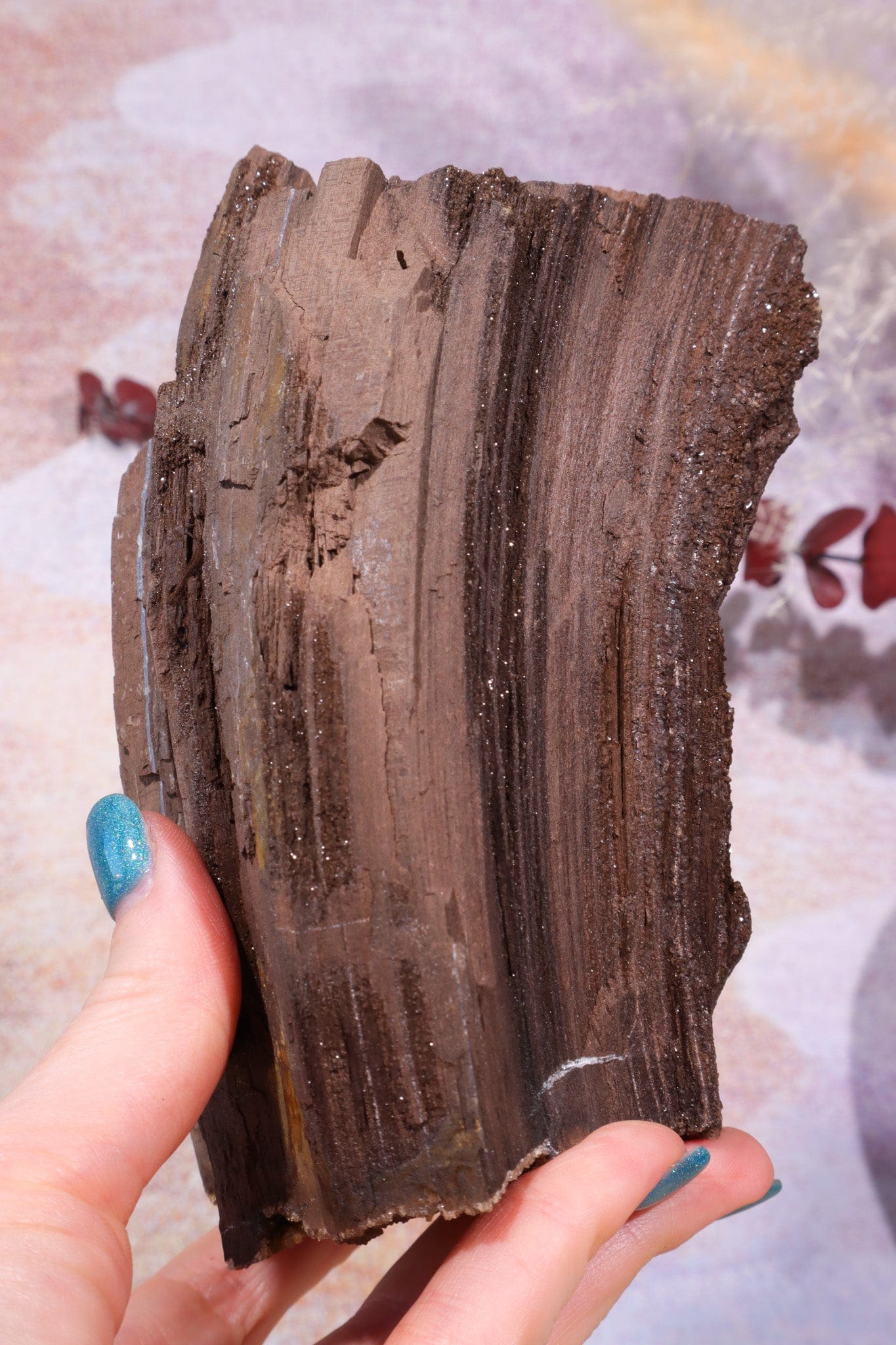 Permineralized wood, 15cm, Sold As Seen Fossil Tali & Loz Crystals