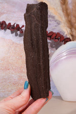 Permineralized wood, 16cm, Sold As Seen Fossil Tali & Loz Crystals