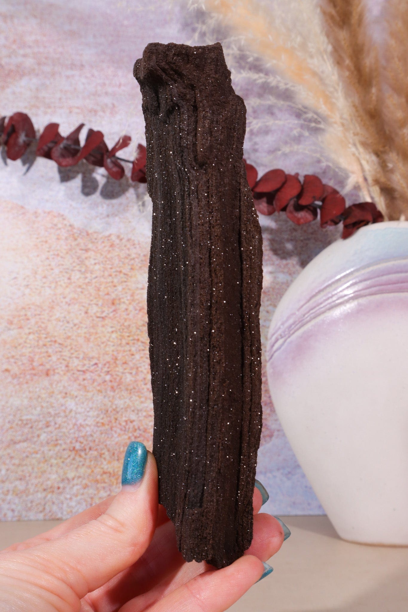 Permineralized wood, 16cm, Sold As Seen Fossil Tali & Loz Crystals