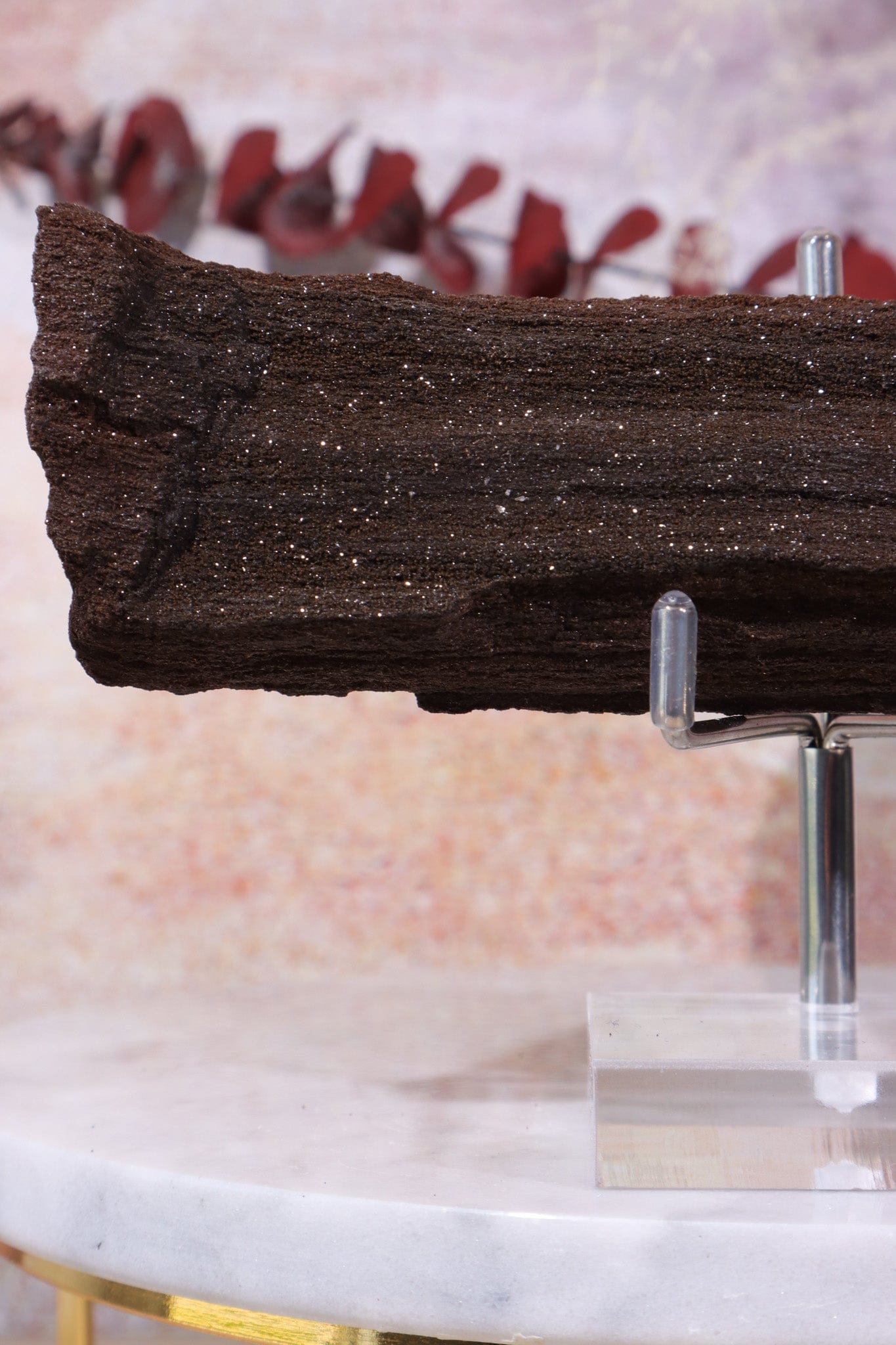 Permineralized wood, 16cm, Sold As Seen Fossil Tali & Loz Crystals