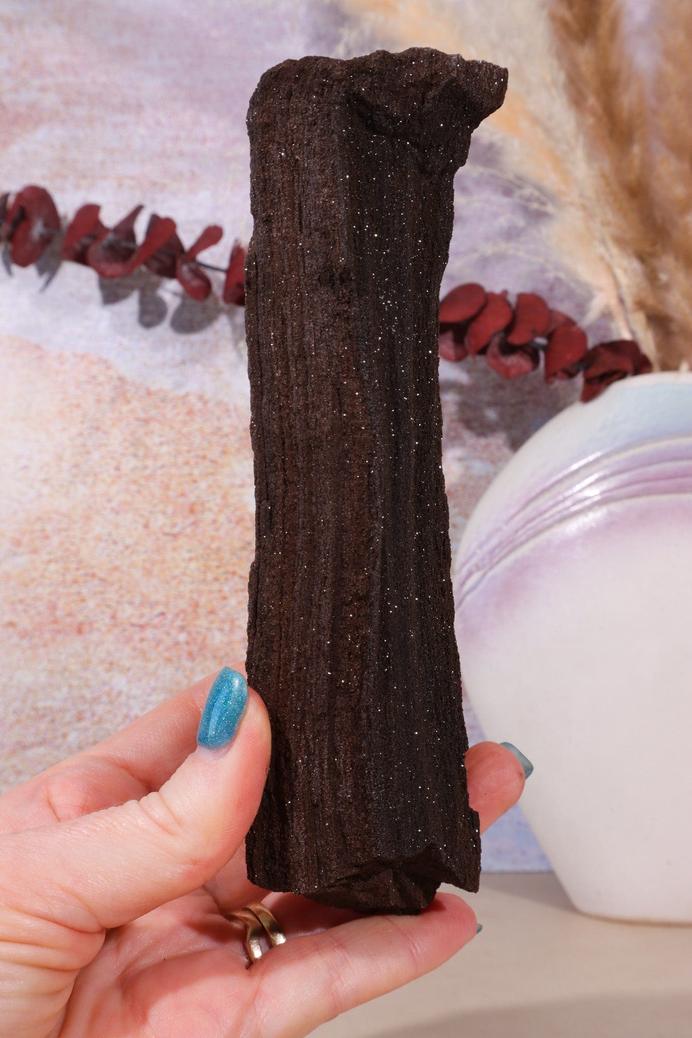 Permineralized wood, 16cm, Sold As Seen Fossil Tali & Loz Crystals