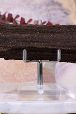 Permineralized wood, 16cm, Sold As Seen Fossil Tali & Loz Crystals