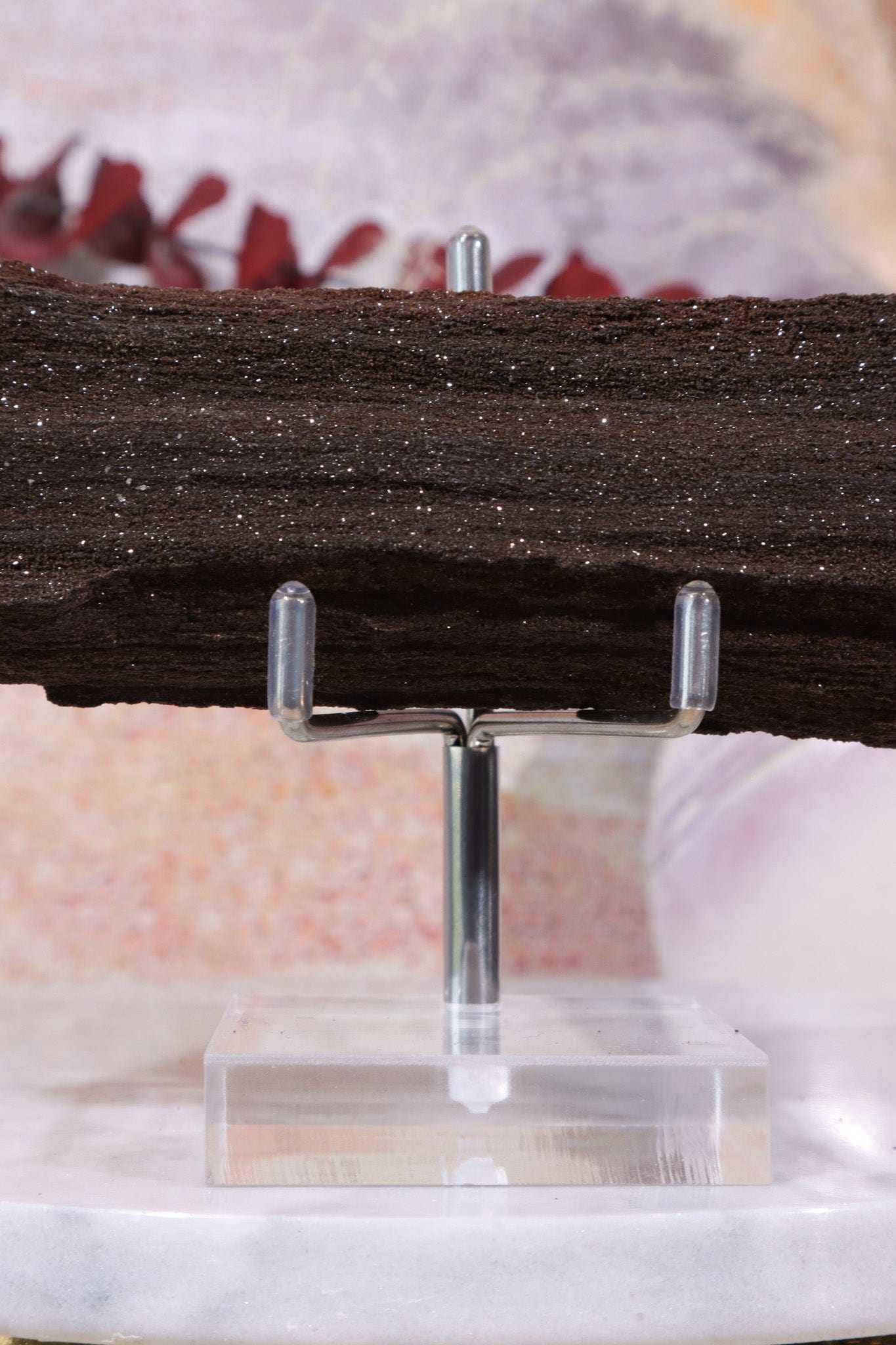 Permineralized wood, 16cm, Sold As Seen Fossil Tali & Loz Crystals