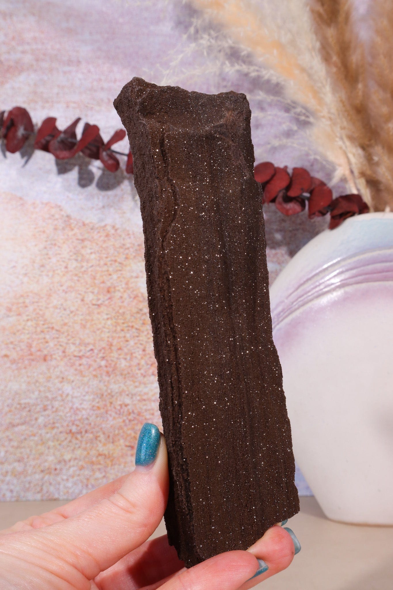 Permineralized wood, 16cm, Sold As Seen Fossil Tali & Loz Crystals