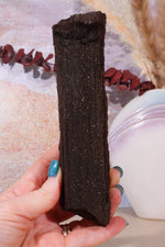 Permineralized wood, 16cm, Sold As Seen Fossil Tali & Loz Crystals
