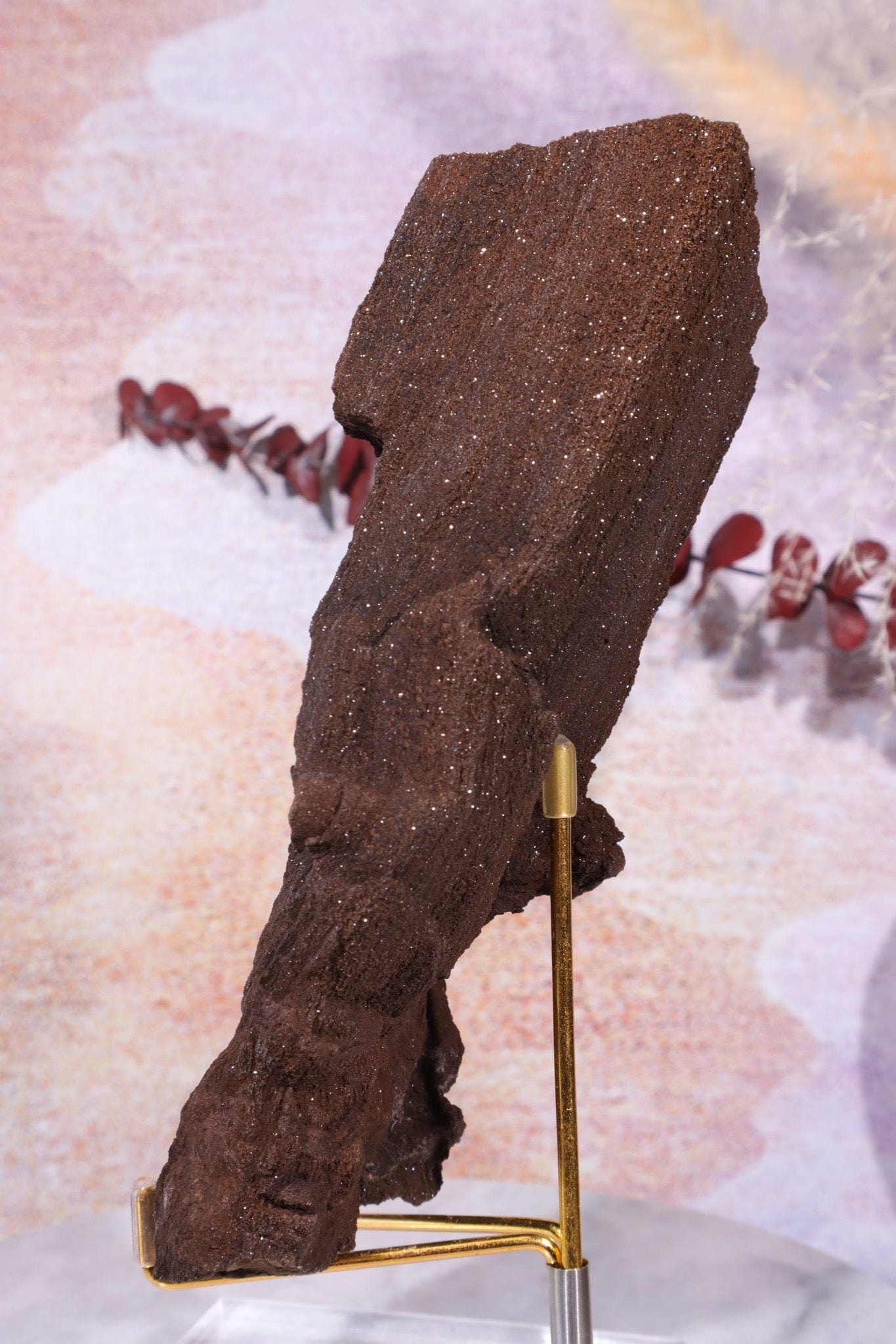 Permineralized wood, 17cm, Sold As Seen Fossil Tali & Loz Crystals