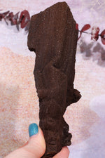 Permineralized wood, 17cm, Sold As Seen Fossil Tali & Loz Crystals