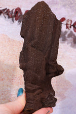 Permineralized wood, 17cm, Sold As Seen Fossil Tali & Loz Crystals