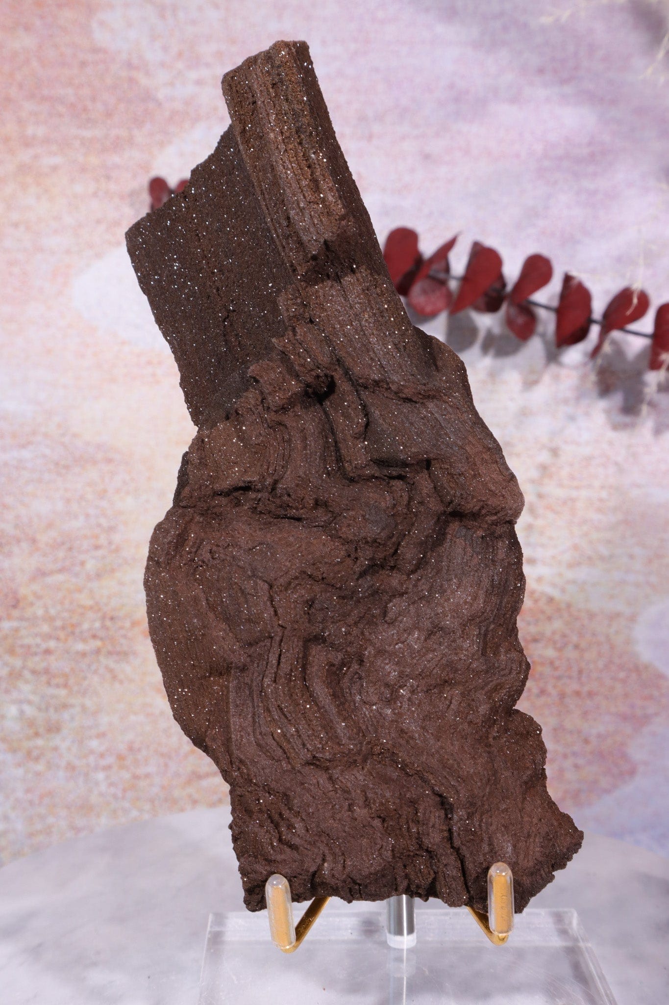 Permineralized wood, 17cm, Sold As Seen Fossil Tali & Loz Crystals