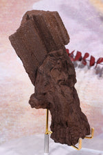 Permineralized wood, 17cm, Sold As Seen Fossil Tali & Loz Crystals