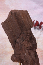 Permineralized wood, 17cm, Sold As Seen Fossil Tali & Loz Crystals