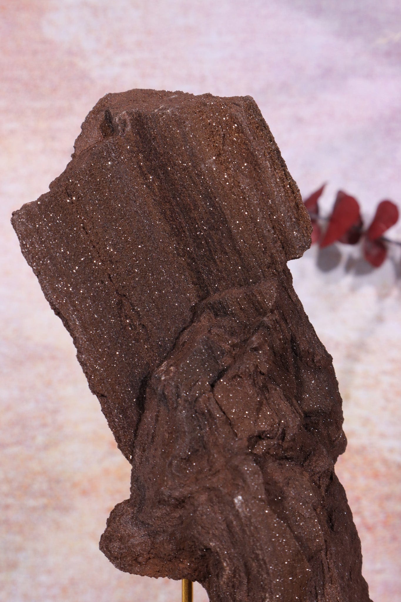 Permineralized wood, 17cm, Sold As Seen Fossil Tali & Loz Crystals