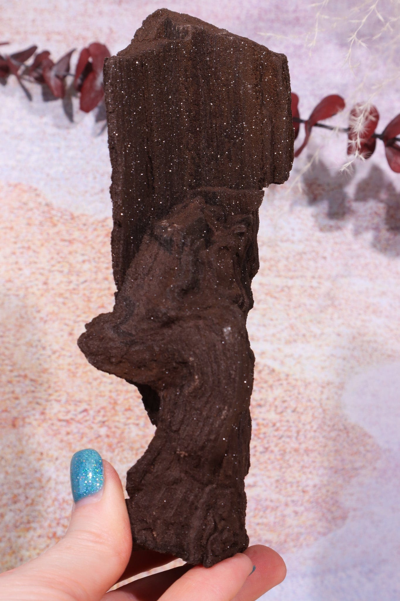 Permineralized wood, 17cm, Sold As Seen Fossil Tali & Loz Crystals