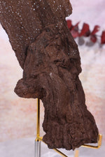 Permineralized wood, 17cm, Sold As Seen Fossil Tali & Loz Crystals