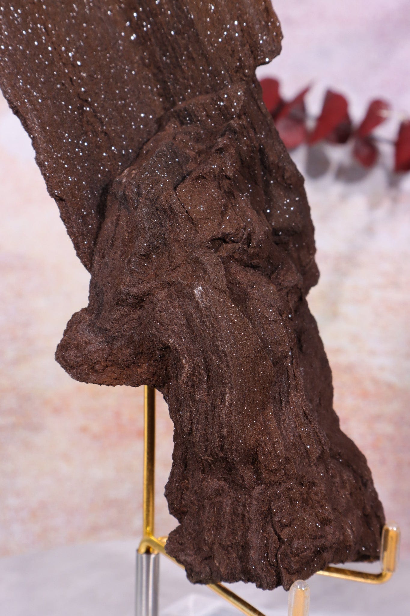 Permineralized wood, 17cm, Sold As Seen Fossil Tali & Loz Crystals