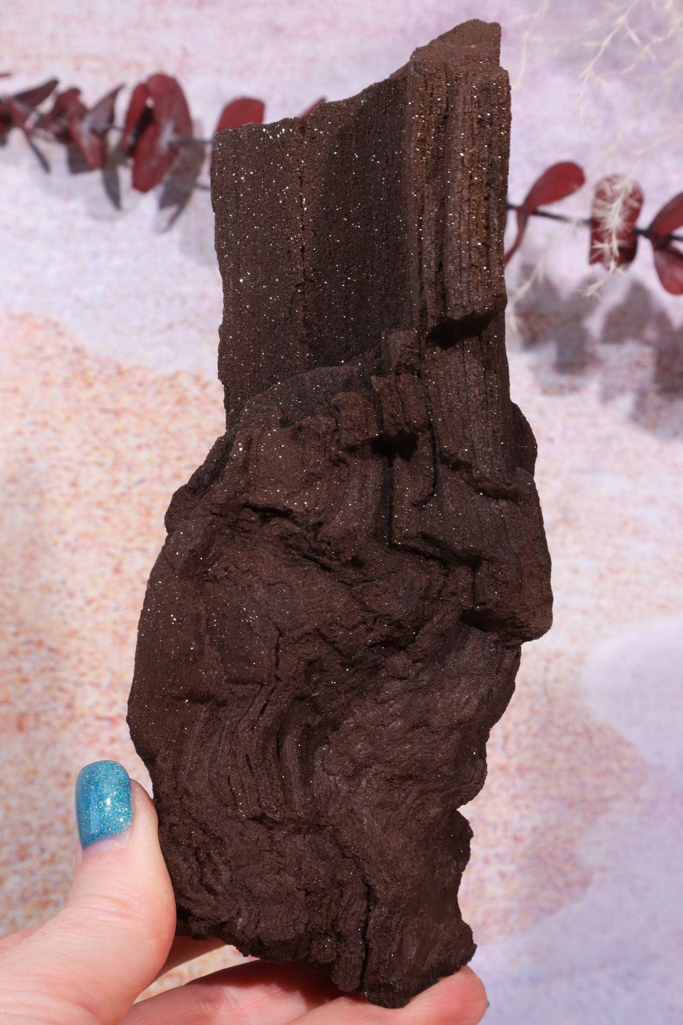 Permineralized wood, 17cm, Sold As Seen Fossil Tali & Loz Crystals