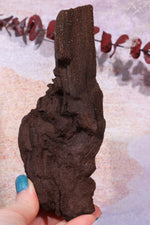 Permineralized wood, 17cm, Sold As Seen Fossil Tali & Loz Crystals