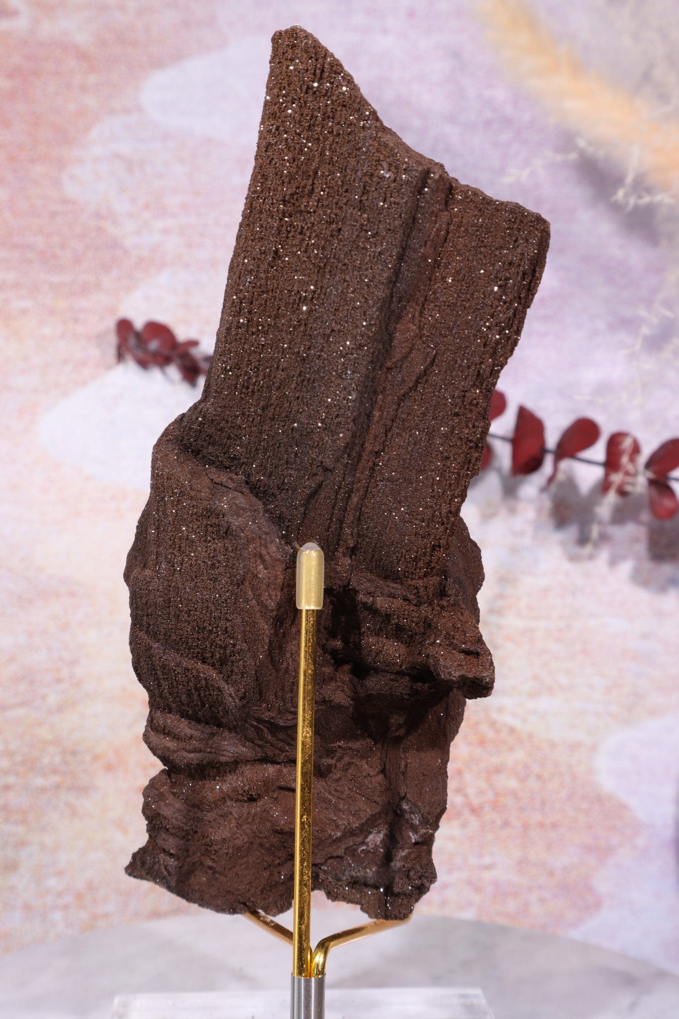 Permineralized wood, 17cm, Sold As Seen Fossil Tali & Loz Crystals