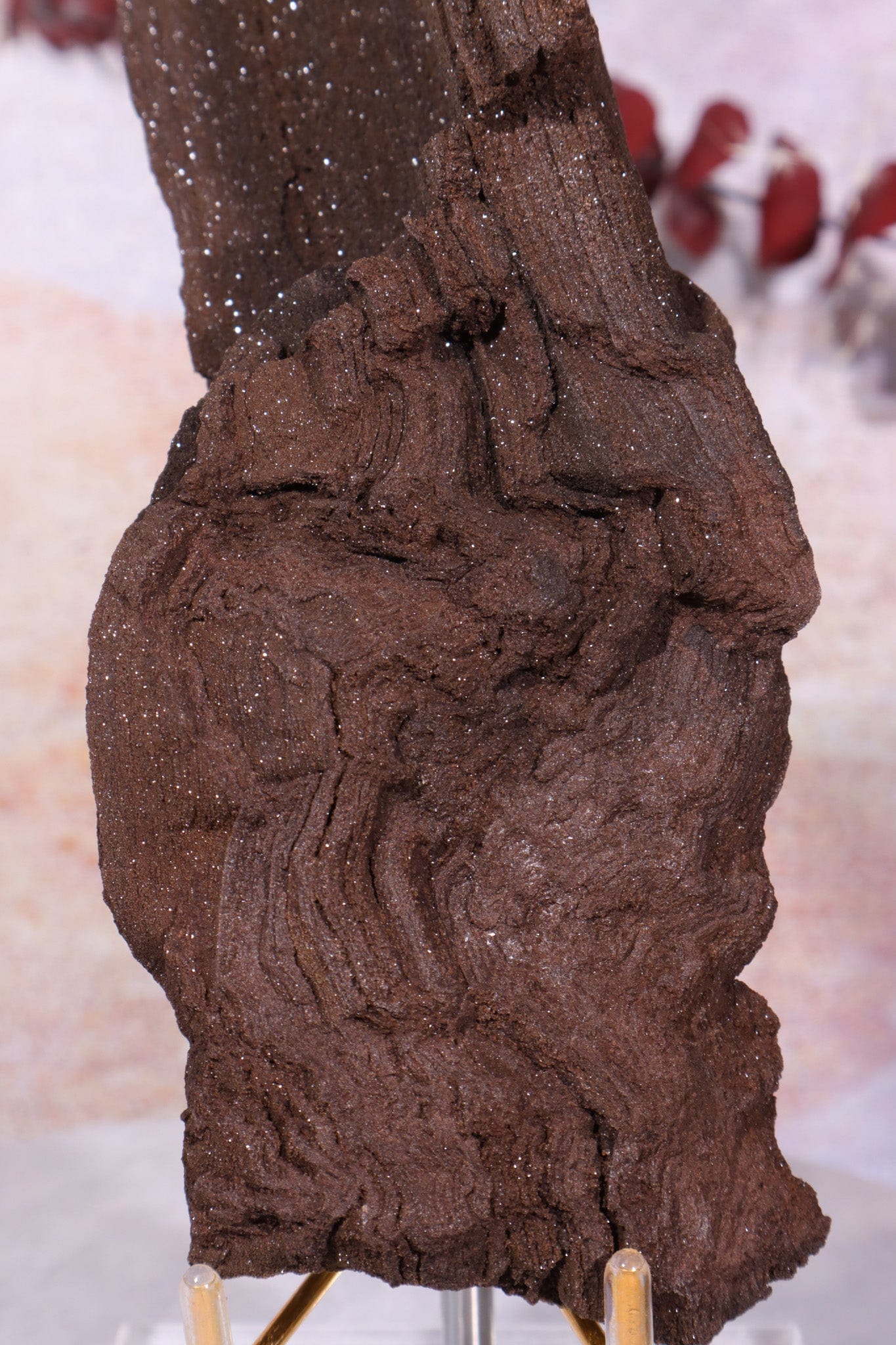 Permineralized wood, 17cm, Sold As Seen Fossil Tali & Loz Crystals