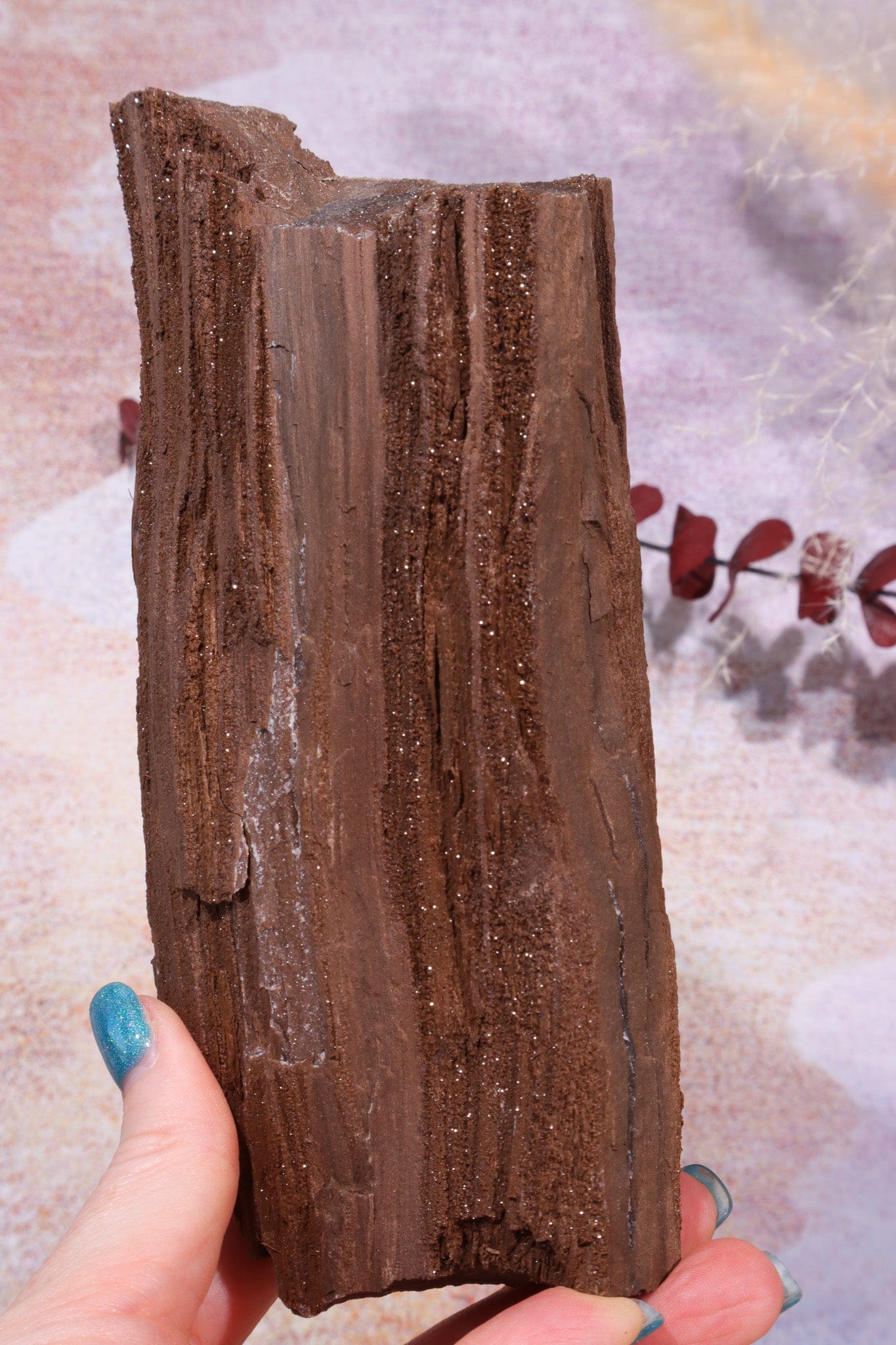 Permineralized wood, 18.5cm, Sold As Seen Fossil Tali & Loz Crystals