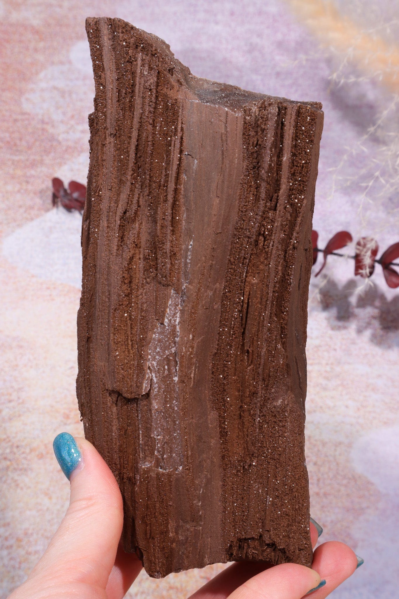 Permineralized wood, 18.5cm, Sold As Seen Fossil Tali & Loz Crystals