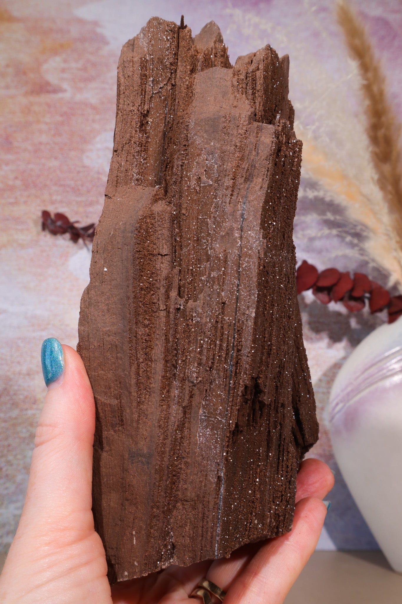 Permineralized wood, 19cm, Sold As Seen Fossil Tali & Loz Crystals