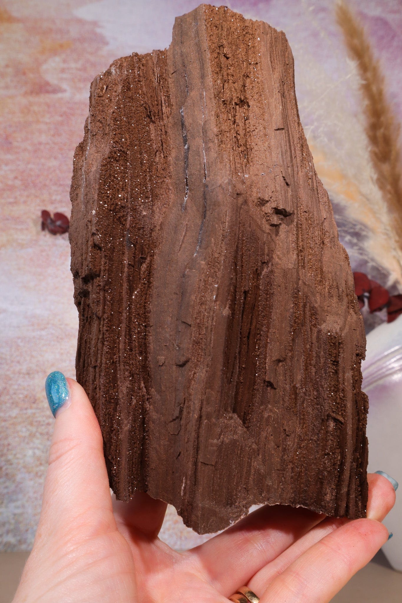 Permineralized wood, 19cm, Sold As Seen Fossil Tali & Loz Crystals