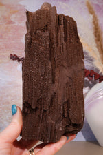 Permineralized wood, 19cm, Sold As Seen Fossil Tali & Loz Crystals