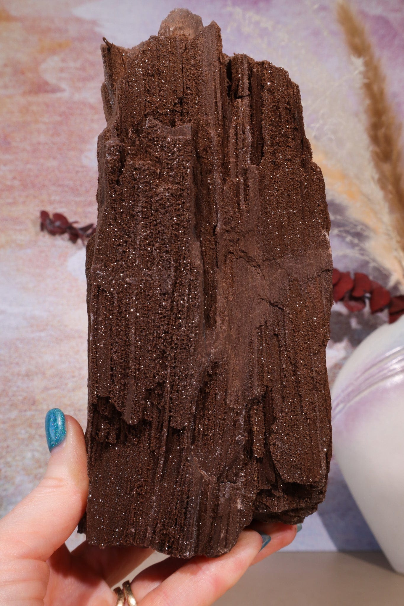 Permineralized wood, 19cm, Sold As Seen Fossil Tali & Loz Crystals