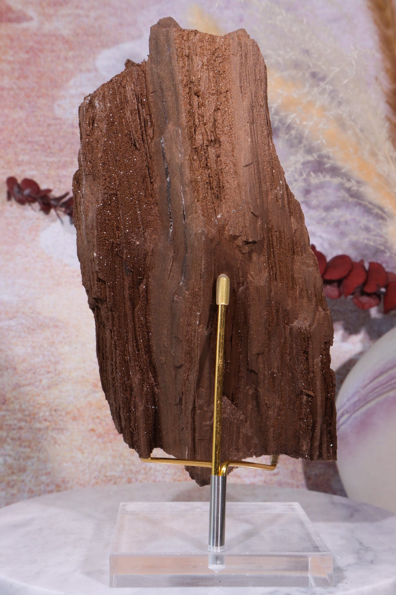 Permineralized wood, 19cm, Sold As Seen Fossil Tali & Loz Crystals
