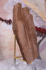 Permineralized wood, 19cm, Sold As Seen Fossil Tali & Loz Crystals