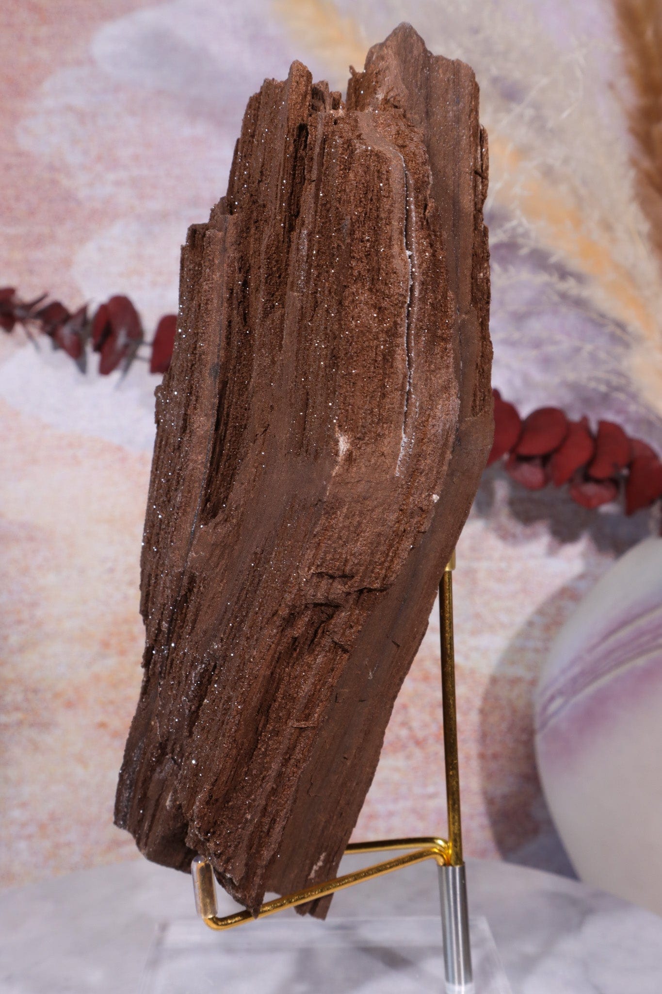 Permineralized wood, 19cm, Sold As Seen Fossil Tali & Loz Crystals