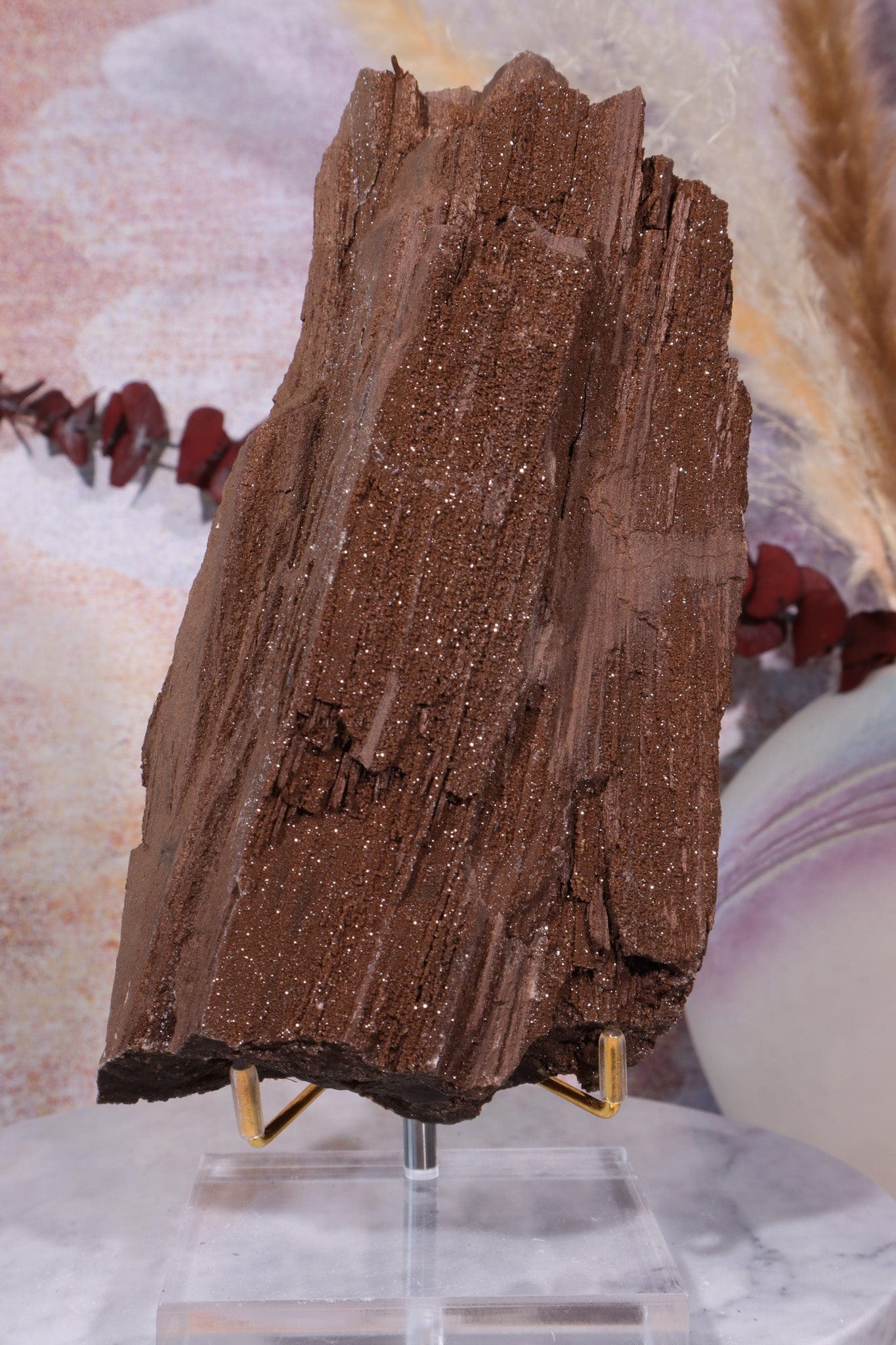 Permineralized wood, 19cm, Sold As Seen Fossil Tali & Loz Crystals