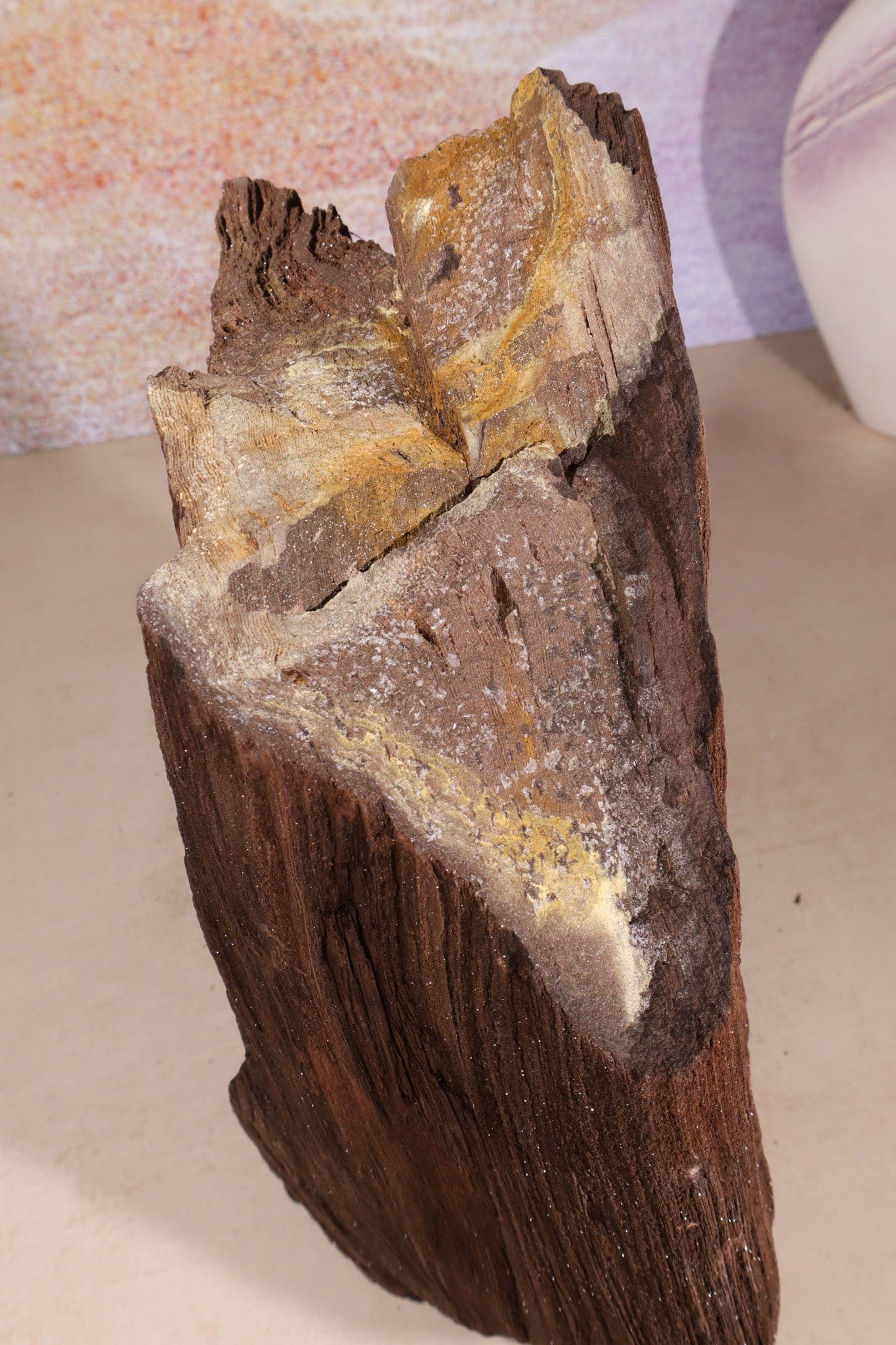 Permineralized wood, 23cm, Sold As Seen Fossil Tali & Loz Crystals