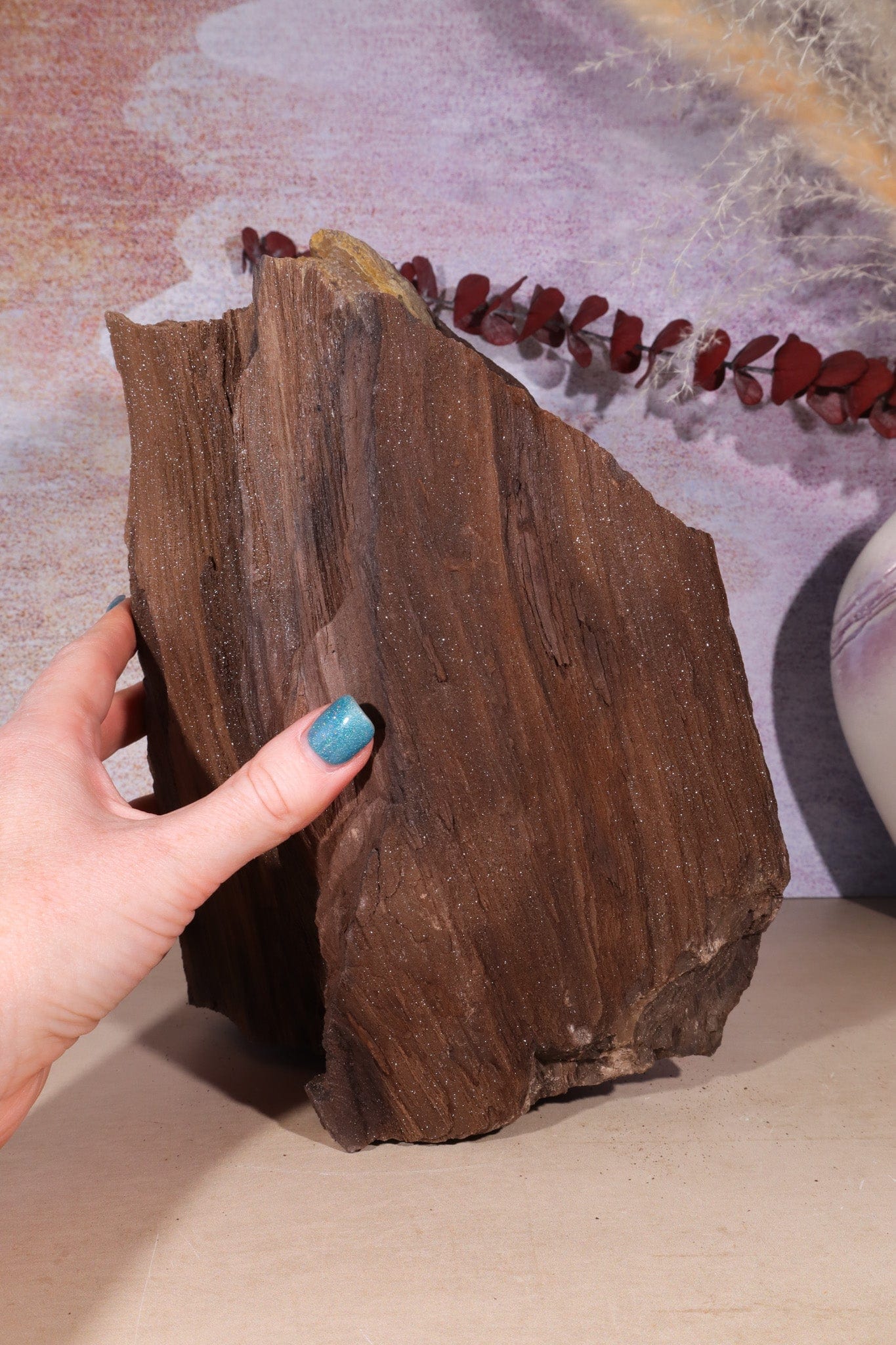 Permineralized wood, 23cm, Sold As Seen Fossil Tali & Loz Crystals