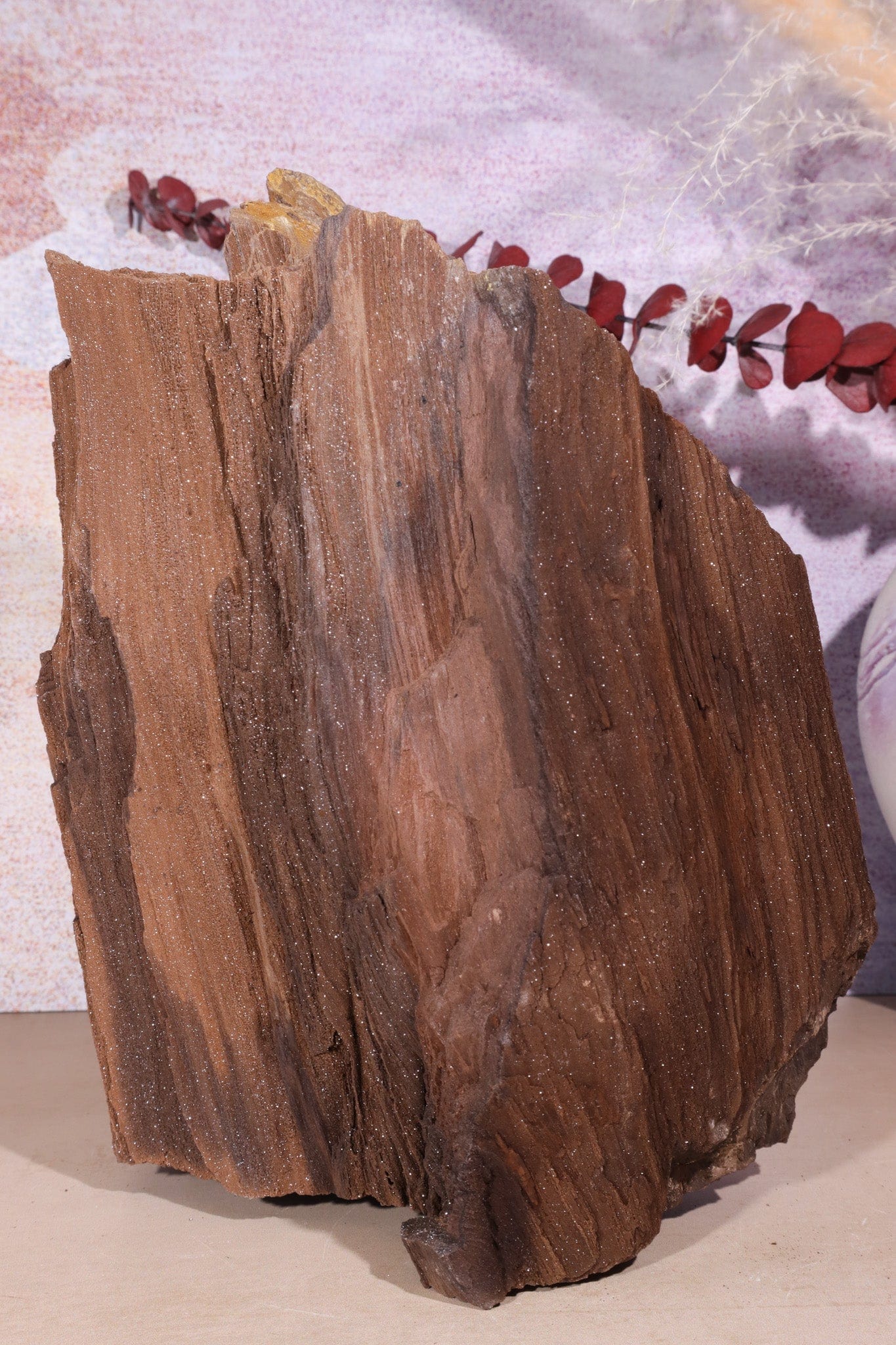 Permineralized wood, 23cm, Sold As Seen Fossil Tali & Loz Crystals