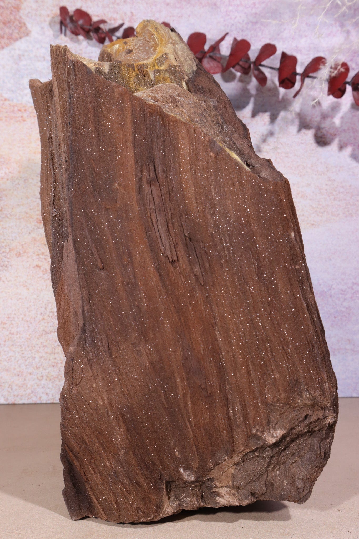 Permineralized wood, 23cm, Sold As Seen Fossil Tali & Loz Crystals