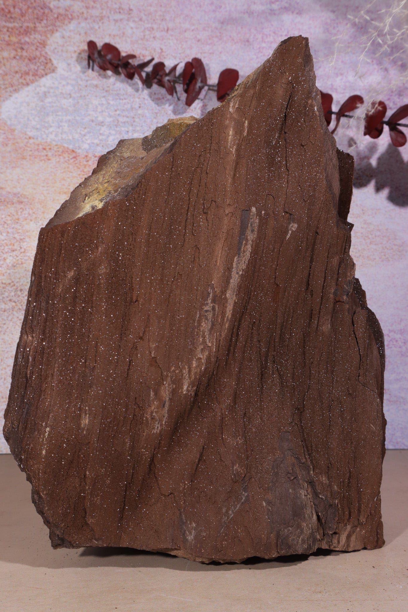 Permineralized wood, 23cm, Sold As Seen Fossil Tali & Loz Crystals